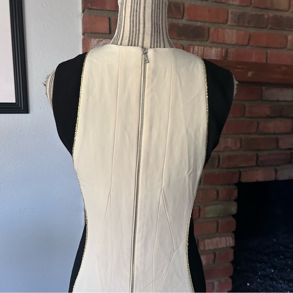 Rag & Bone Dupont Sleeveless Sheath Dress in Ivory/Black Sz 4 - Picture 8 of 10